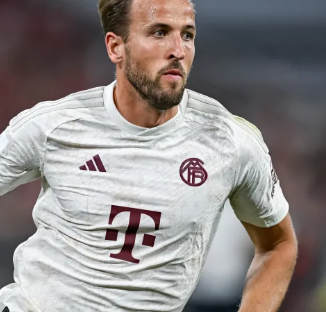 深层次的讨 深层次的讨