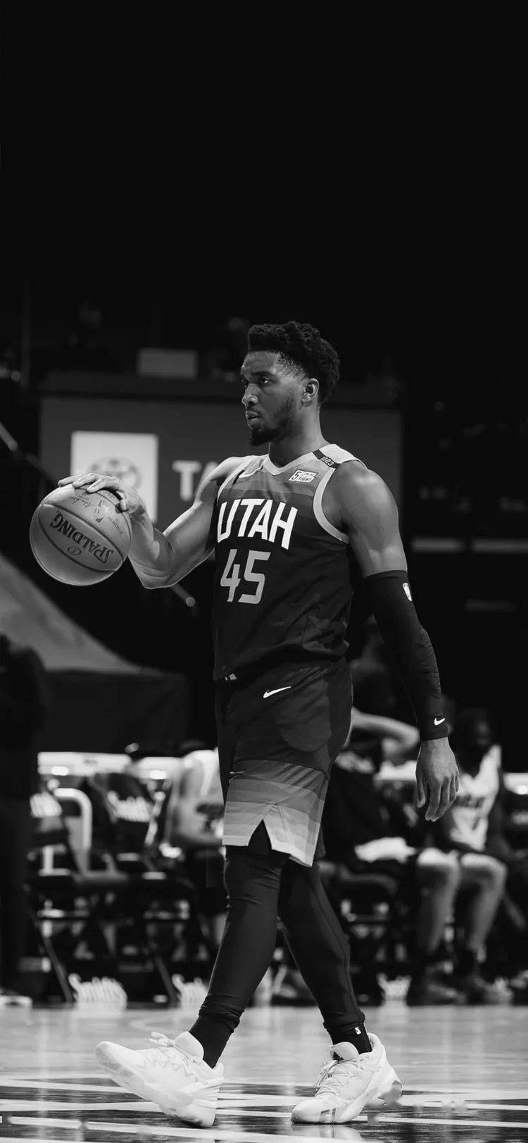 本赛季备受 本赛季备受