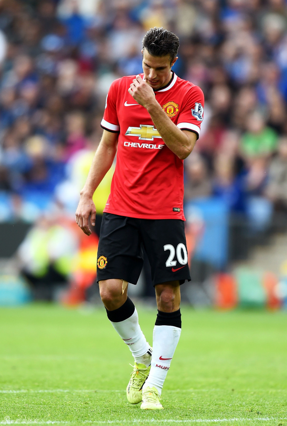 上升与档期 上升与档期